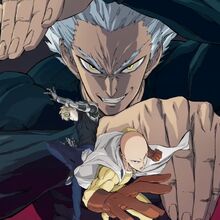 One Punch Man Wiki Fandom