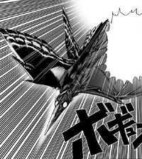 Woodpecker phoenix man