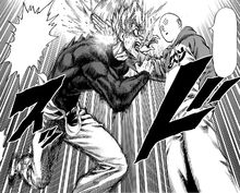 Saitama and Garou