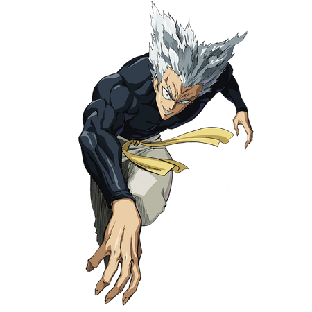 Garou Anime Gallery One Punch Man Wiki Fandom