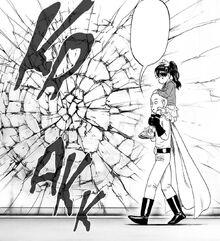 Wall crack