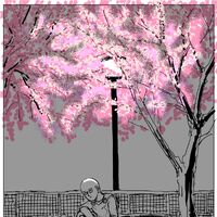Get Wallpaper One Punch Man Webcomic One Punch Man Wiki Fandom Desktop Wallpaper Free