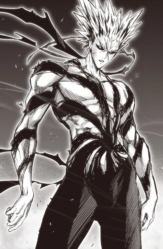 Garou/Manga Gallery, One-Punch Man Wiki