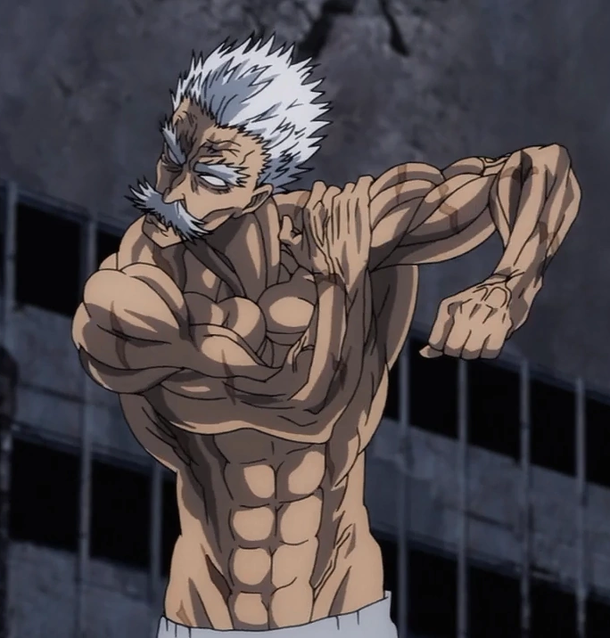 Martial Artist | OnePunch-Man Wiki | FANDOM powered by Wikia