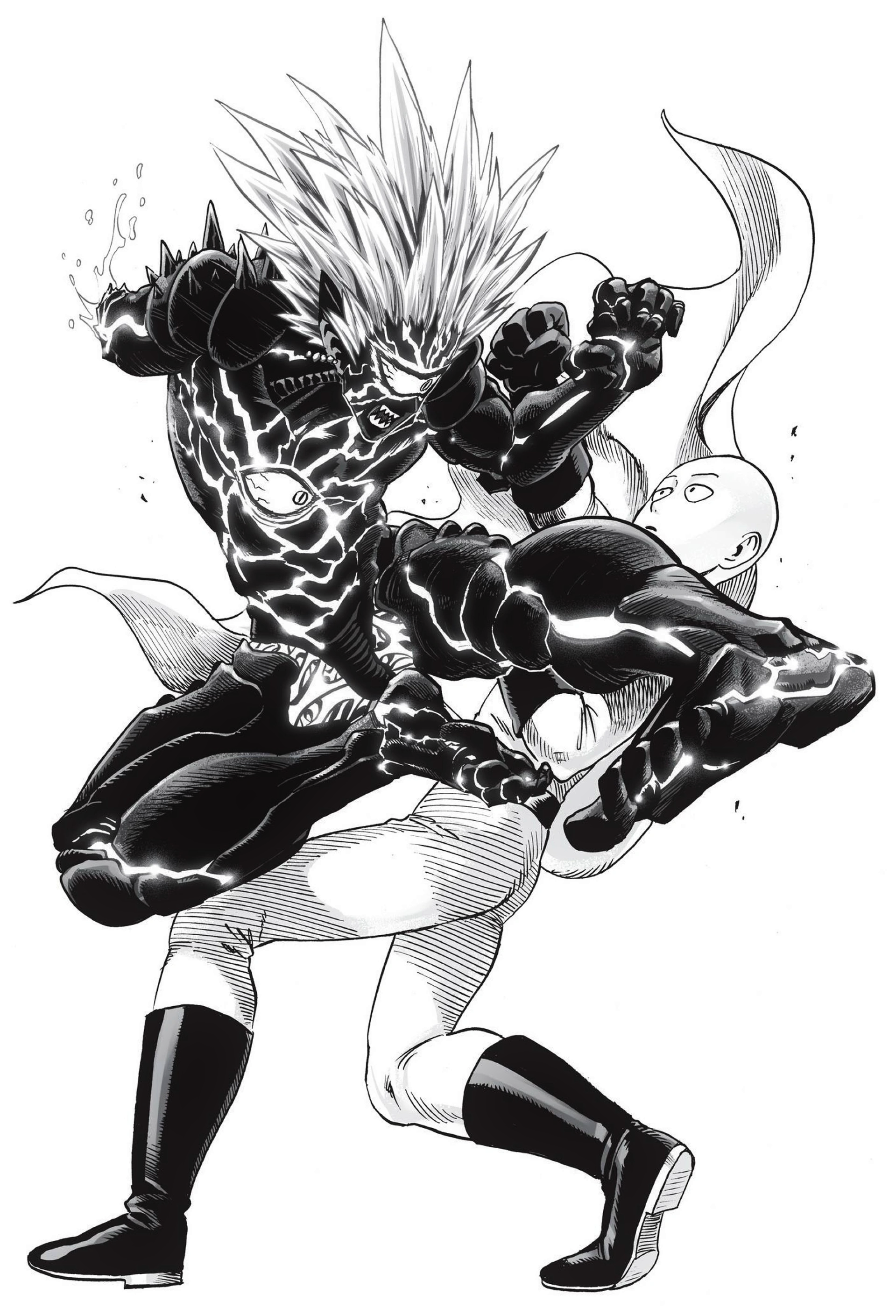 Saitama vs. Boros OnePunchMan Wiki Fandom