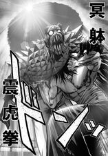 Void Shivering Tiger Fist