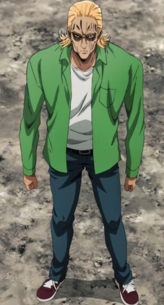 King Wikia One PunchMan Fandom