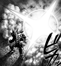 Phoenix Man Second Resurrection
