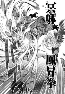 Void Phoenix Ascension Fist