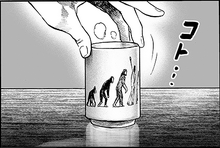 Evolution Cup