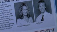418 b n p find der wit p lookalike