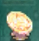 Dimensional Golden Coin