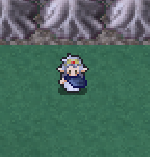 Elven Elder