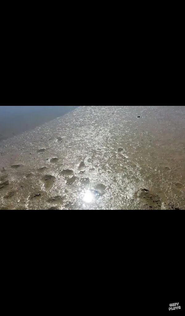 The Chocolate Jelly River Oney Plays Wiki Fandom