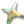 Generalsf