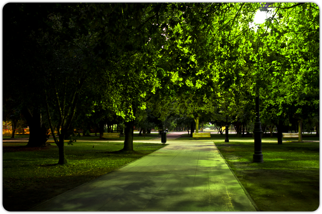 File:Park.png