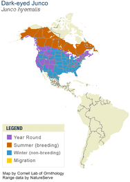 Junc hyem AllAm map