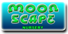 Sign moonscape