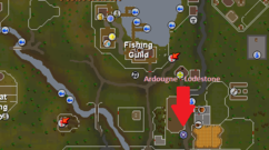 Fishing guild