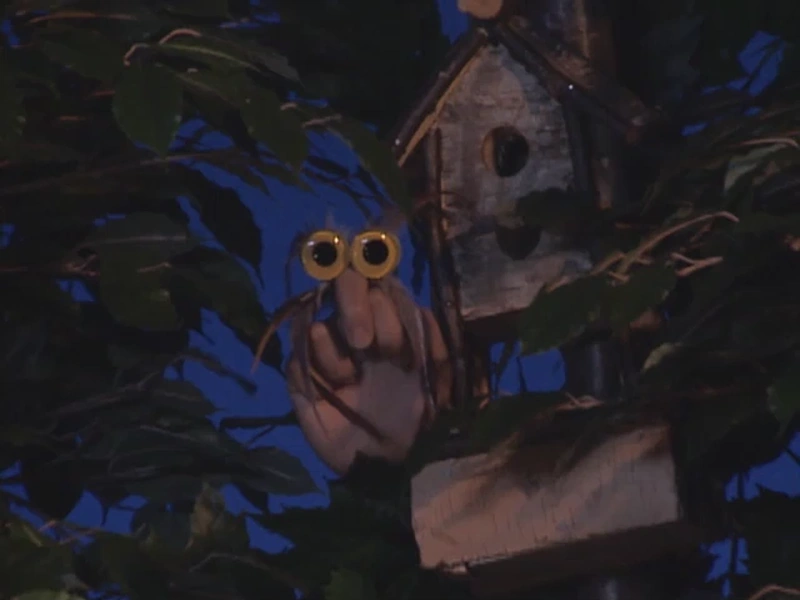 Owl Oobi Wiki Fandom