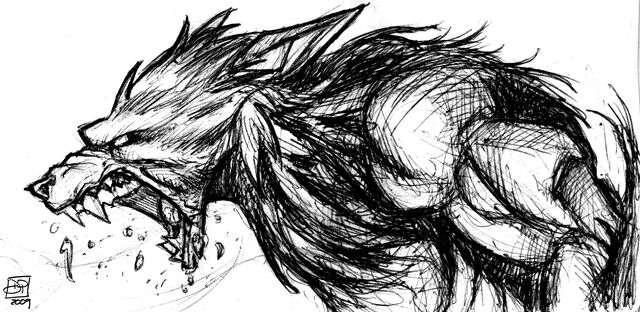 File:Werewolf Sketch by Kenpudiosaki.jpg
