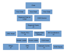 POWER V Democratic Party Structure
