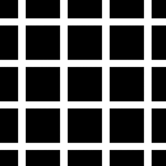 Hermann Grid Illusion Optical Illusions Wiki Fandom - grid city roblox