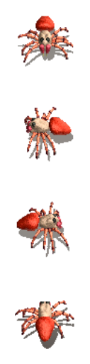 Spider