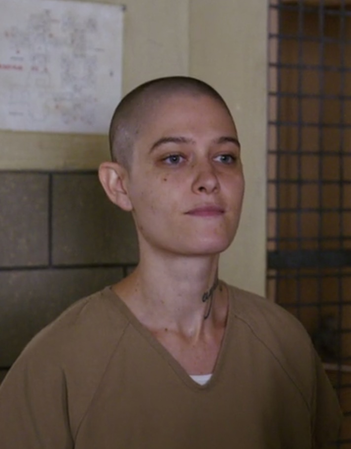 oitnb my year in a women