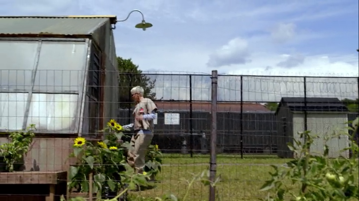 Der Garten Orange Is The New Black der garten orange is the new black wiki fandom powered Der Garten Orange Is The New Black der garten orange is the new black wiki fandom powered