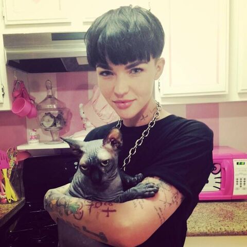Ruby Rose | Orange is the New Black Wiki | FANDOM powered by Wikia