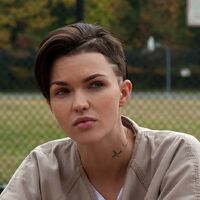 Stella Carlin Orange Is The New Black Wiki Fandom
