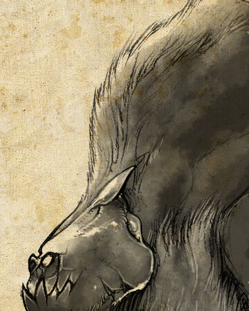 Loup Noir Chien Noir Loup Géant Wiki Orba Fabula Fandom