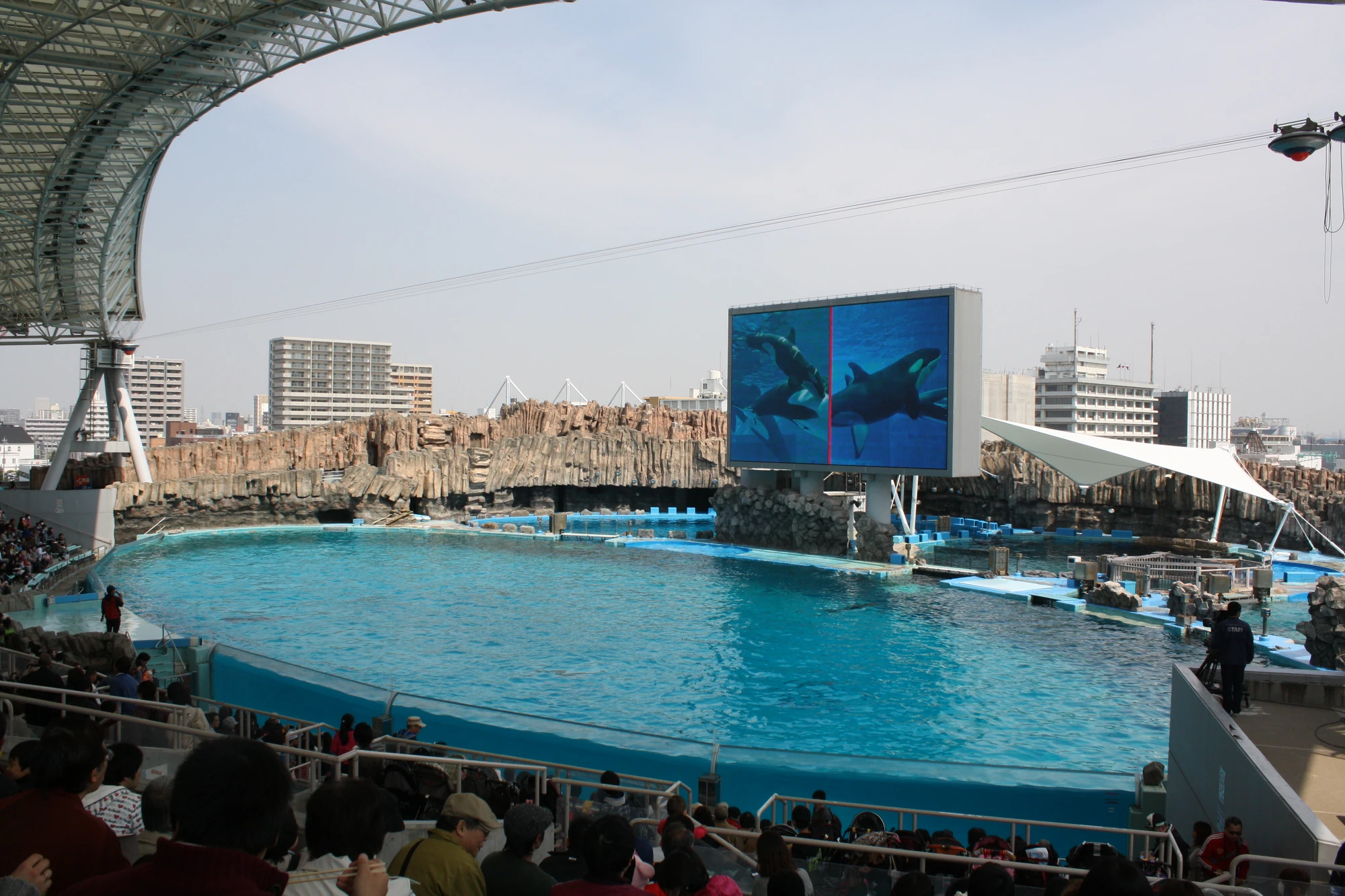 Port of Nagoya Public Aquarium Orca tank Wiki Fandom
