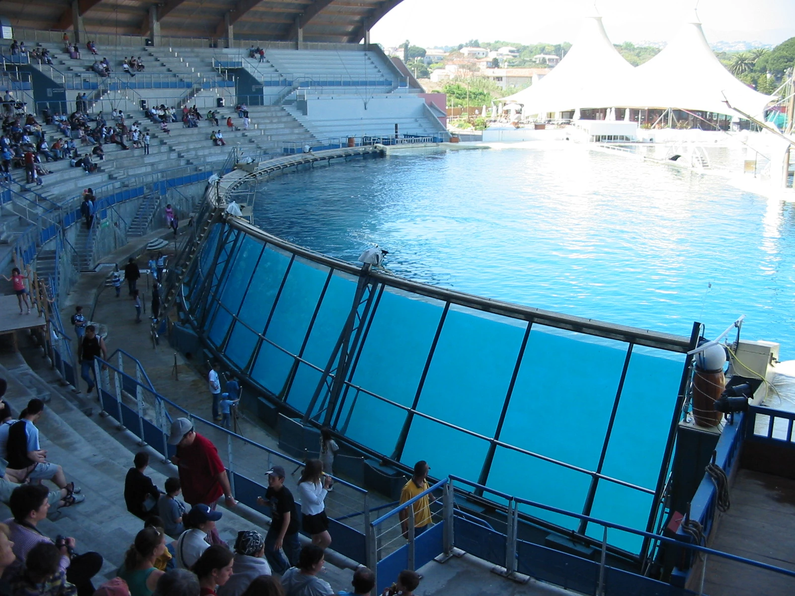 Image Img 69992 91363 jpg Orca Tank Wiki FANDOM Powered By Wikia
