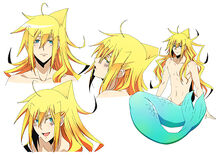 Perfil.de wakasa