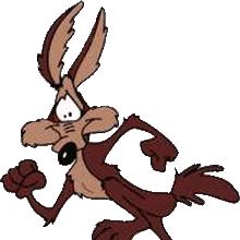 Wile E Coyote And Road Runner Looney Tunes Wiki Fandom