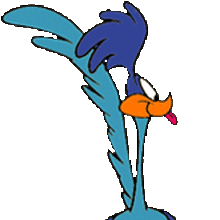 Wile E Coyote And Road Runner Looney Tunes Wiki Fandom
