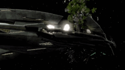 Redwood Orville Krill Quantum Accelerator