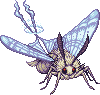 Glacienne moth adult