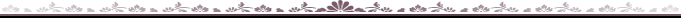 Png-4