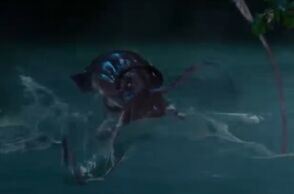 Kraken