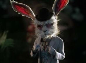 Rabbit