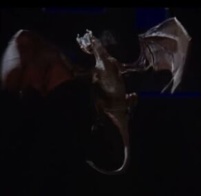 Dragon622