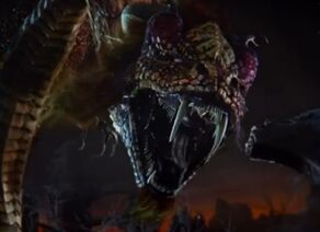 Dragondragon