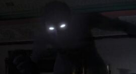 Shadow