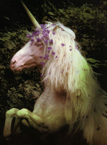 UnicornWiki