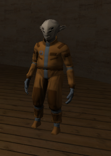 Curator