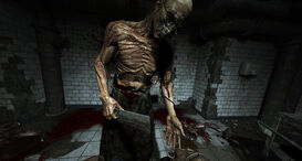 Outlast 01 26569.nphd