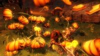 Evil Pumpkins Combat